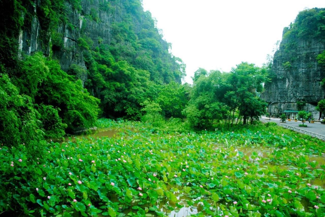 Tamcoc Viet Tan Homestay & Garden Ninh Binh Eksteriør billede