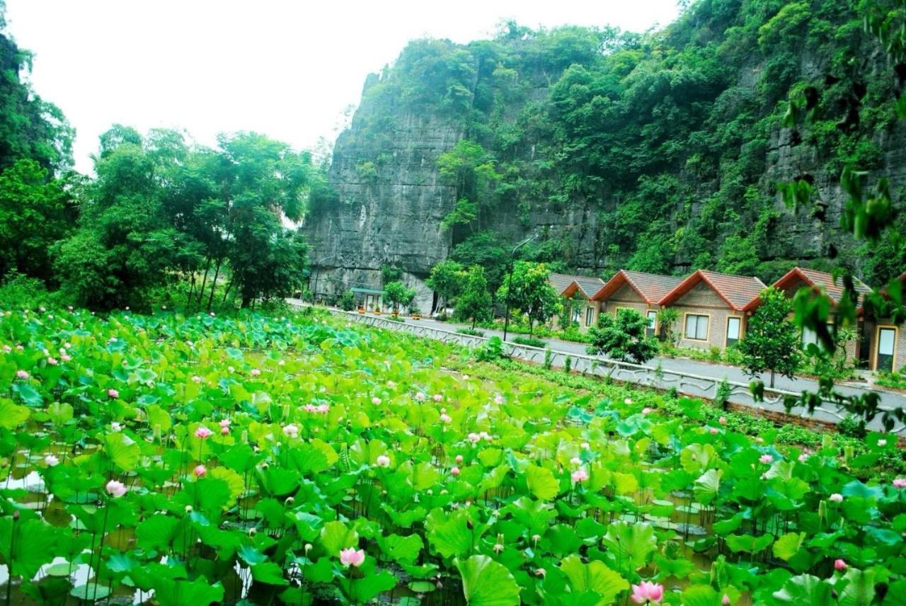 Tamcoc Viet Tan Homestay & Garden Ninh Binh Eksteriør billede