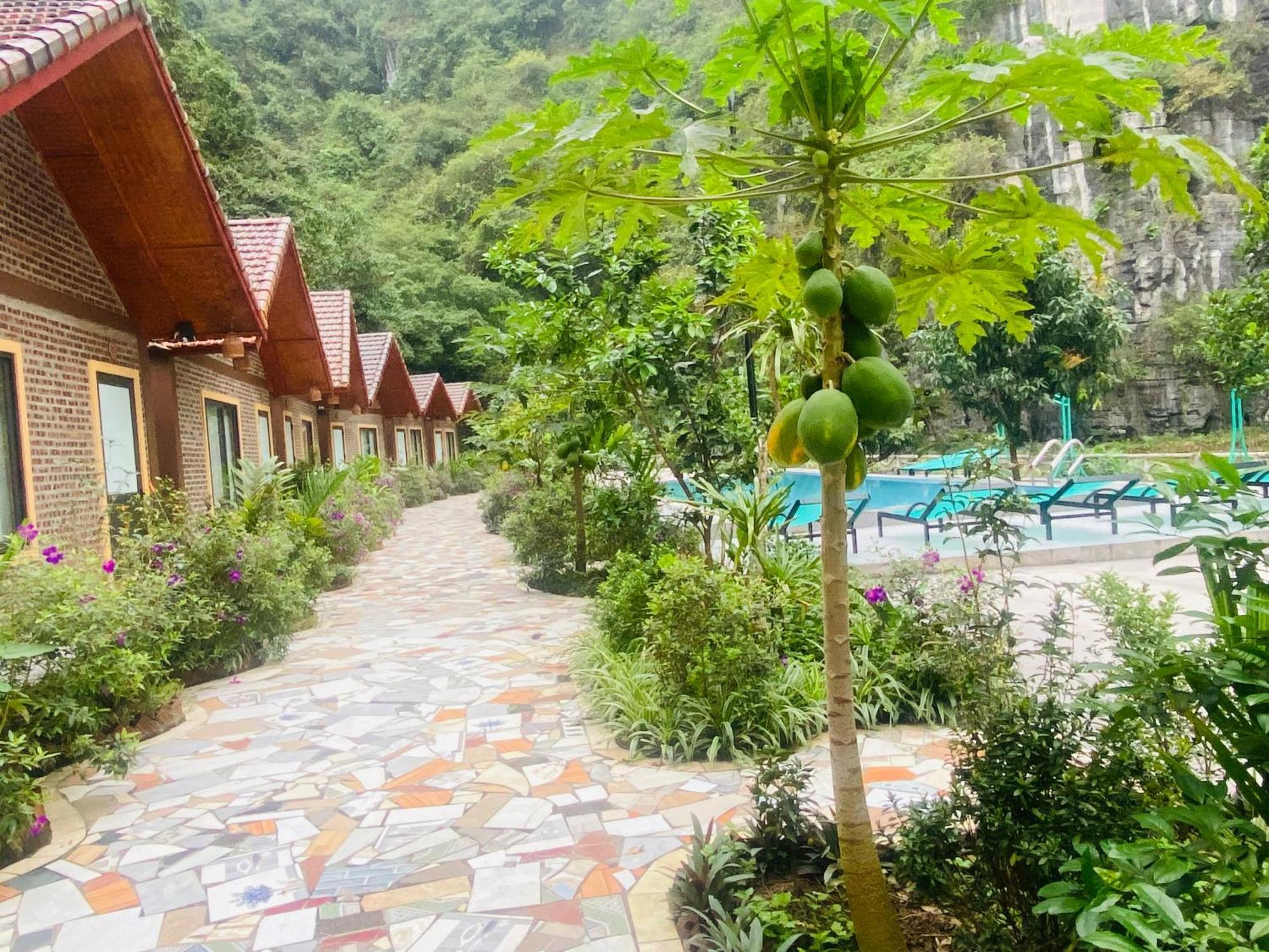 Tamcoc Viet Tan Homestay & Garden Ninh Binh Eksteriør billede
