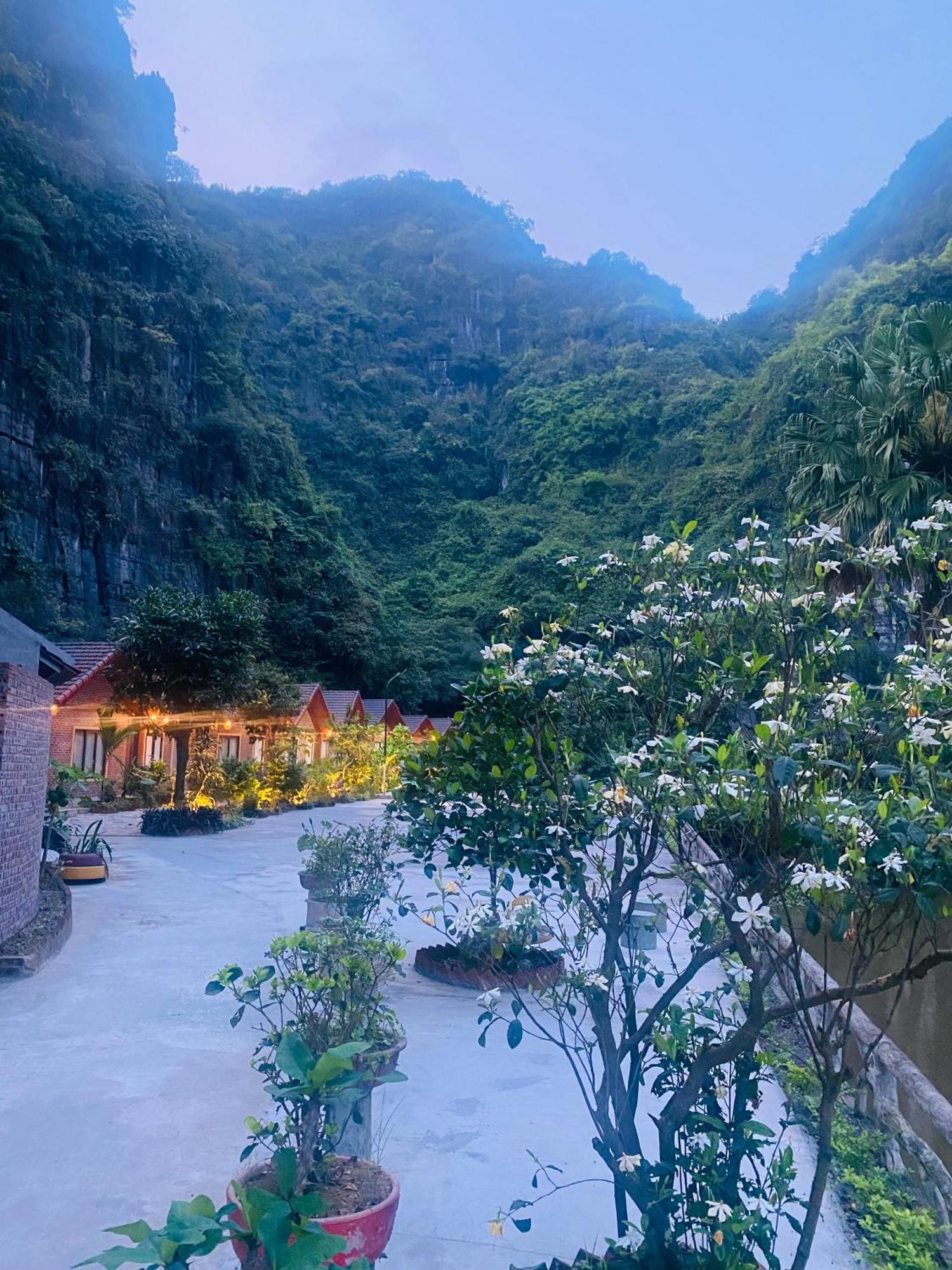 Tamcoc Viet Tan Homestay & Garden Ninh Binh Eksteriør billede